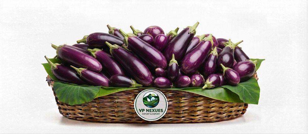 Eggplant